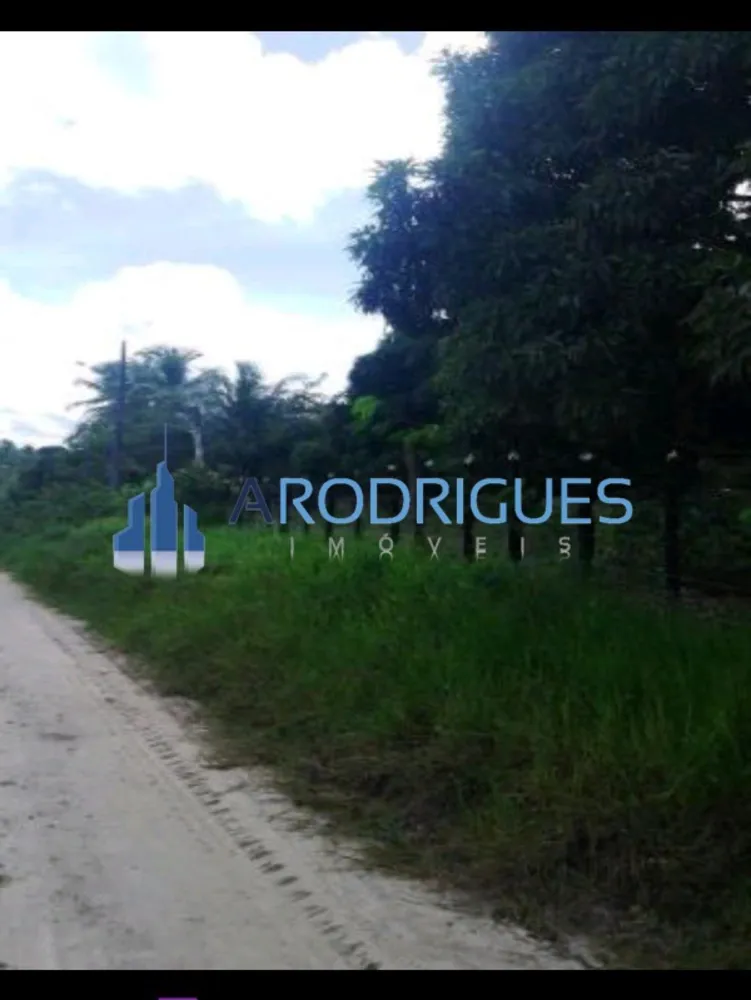 Fazenda, 84 hectares - Foto 2