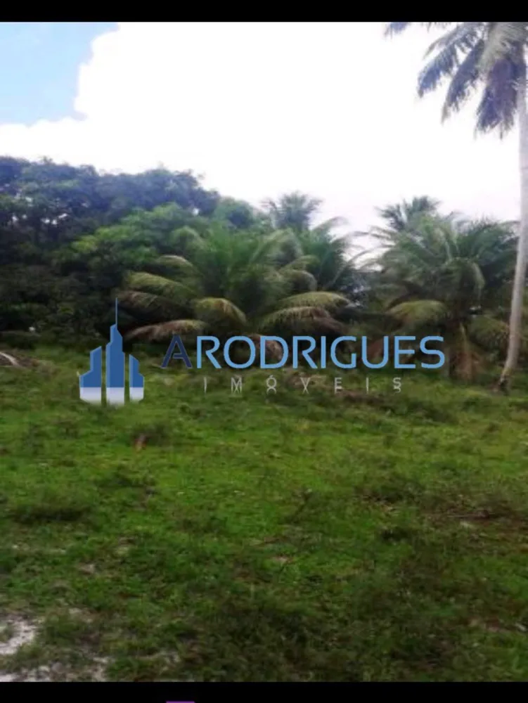 Fazenda, 84 hectares - Foto 4