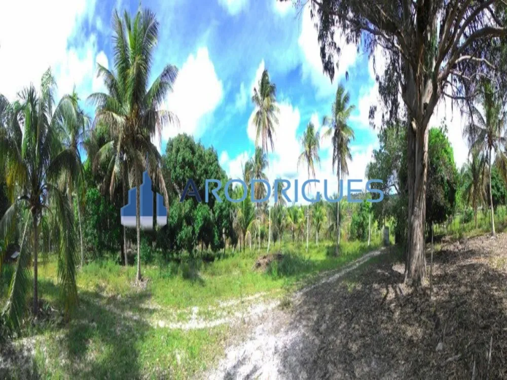 Fazenda, 84 hectares - Foto 1