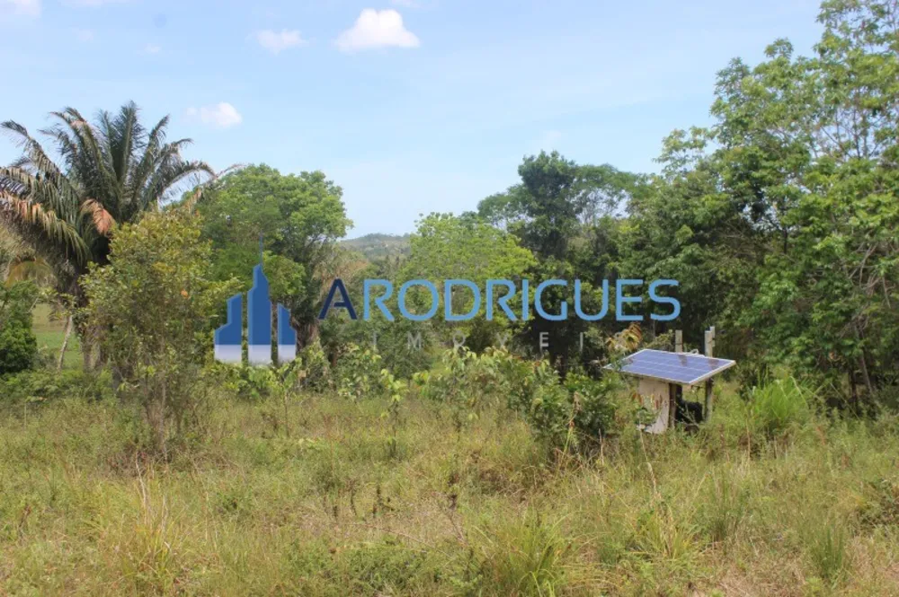 Fazenda, 20 hectares - Foto 6
