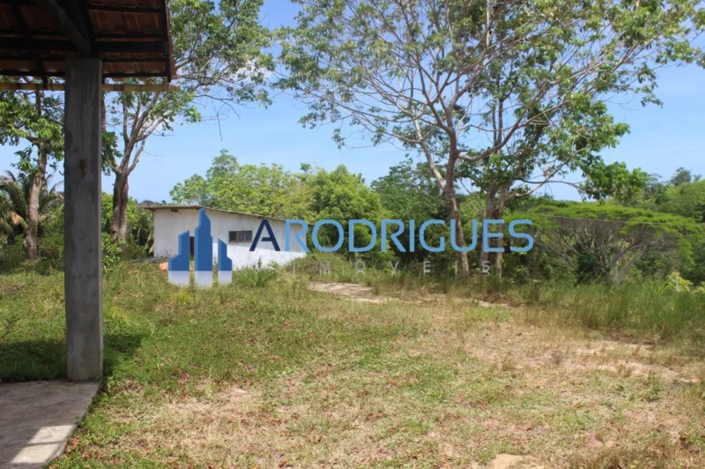 Fazenda, 20 hectares - Foto 9