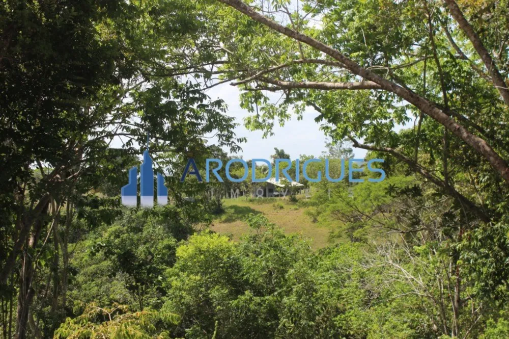 Fazenda, 20 hectares - Foto 4