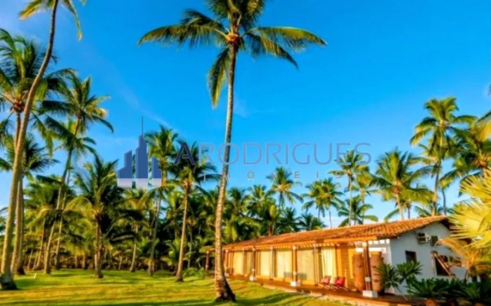 Terreno, 1 hectares - Foto 4