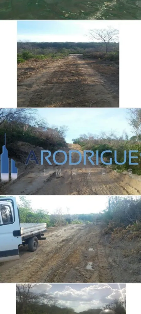 Fazenda, 7000 hectares - Foto 3