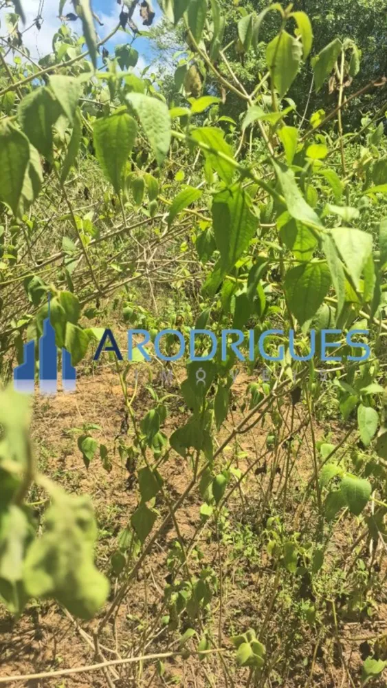 Loteamento e Condomínio, 2 hectares - Foto 10