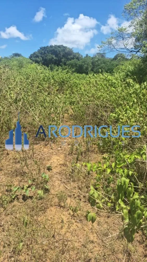 Loteamento e Condomínio, 2 hectares - Foto 11
