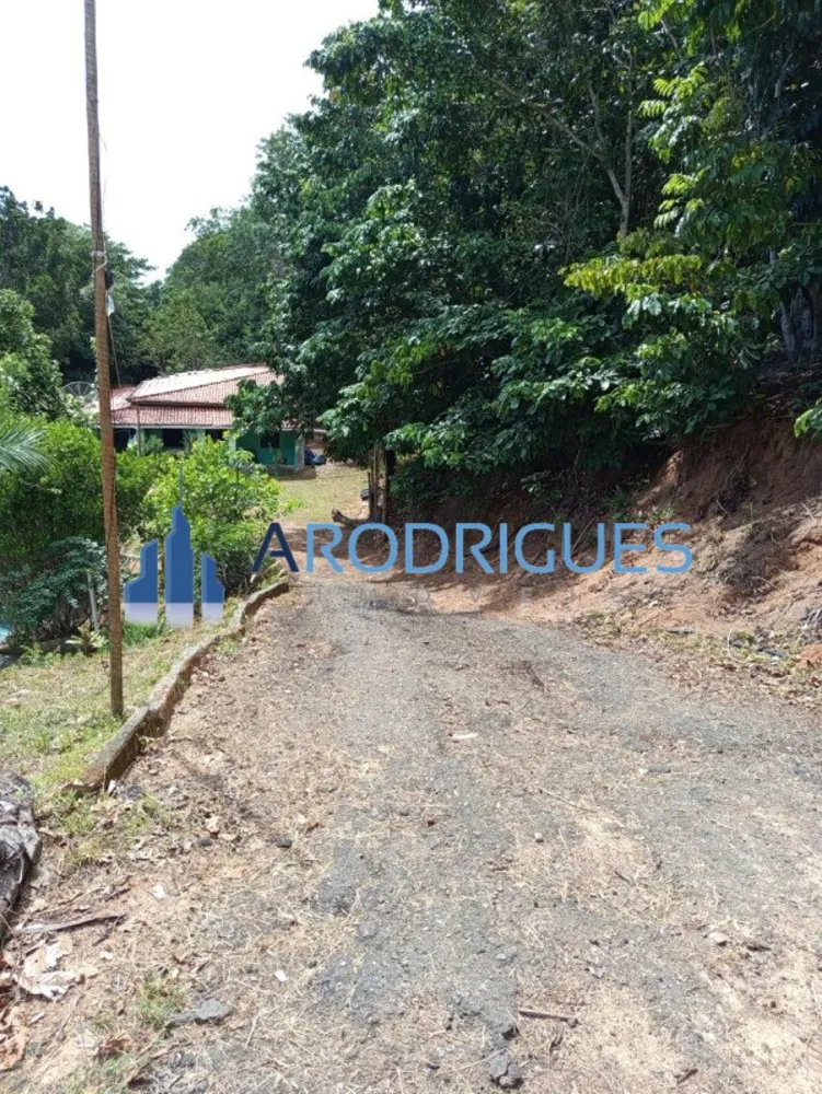 Chácara, 4 quartos - Foto 4