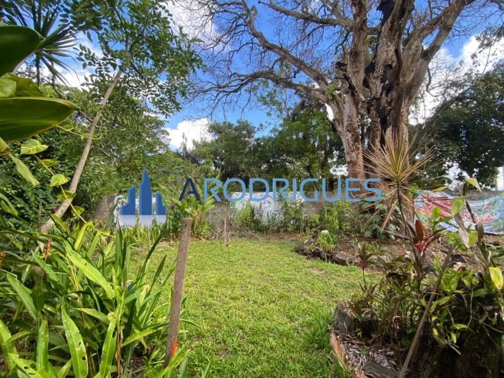 Terreno, 2 hectares - Foto 7