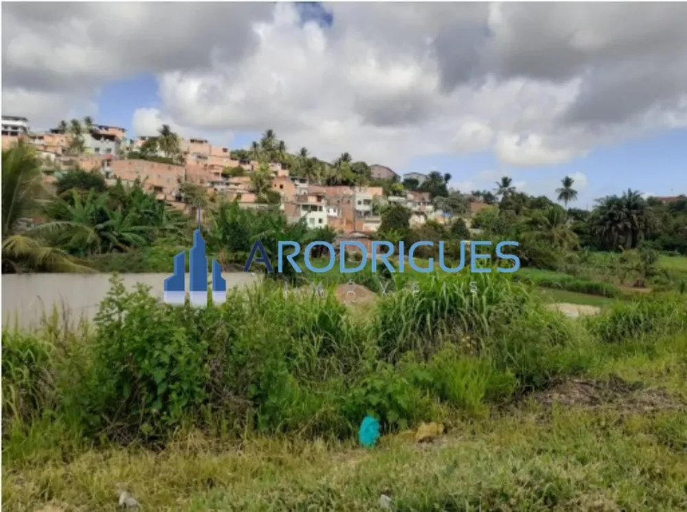 Terreno, 2 hectares - Foto 4