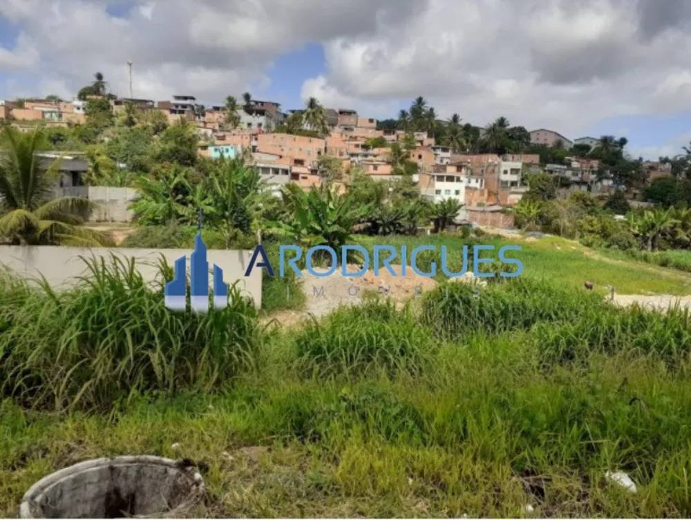Terreno, 2 hectares - Foto 3