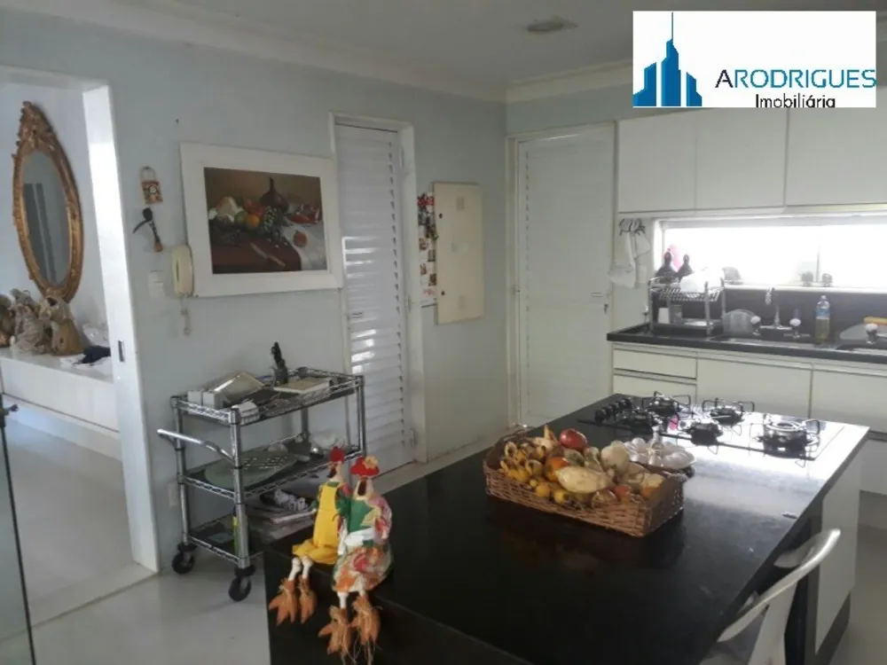 Casa, 4 quartos, 450 m² - Foto 6
