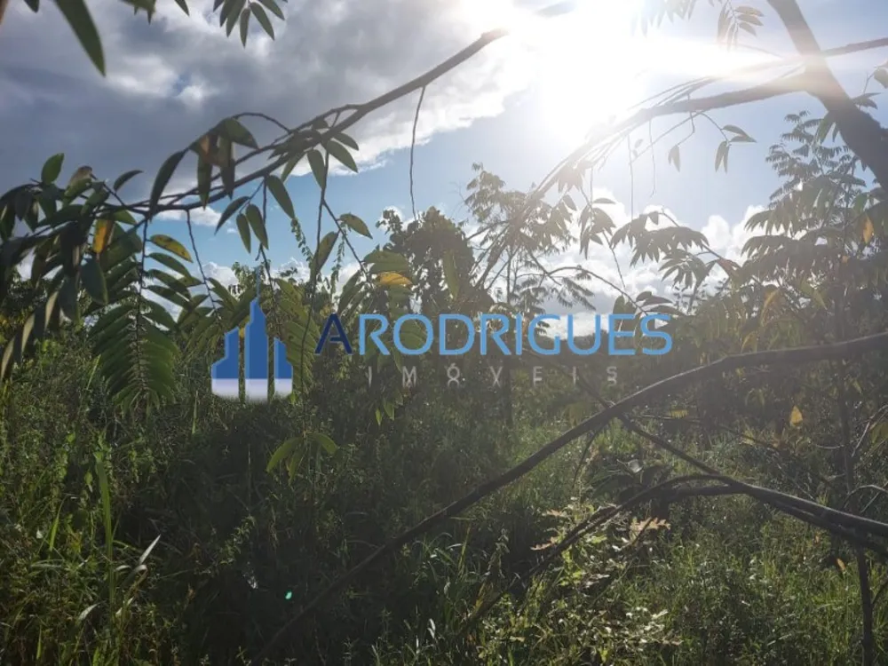 Terreno, 26 hectares - Foto 4