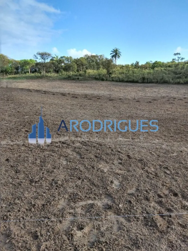 Loteamento e Condomínio, 4 hectares - Foto 4