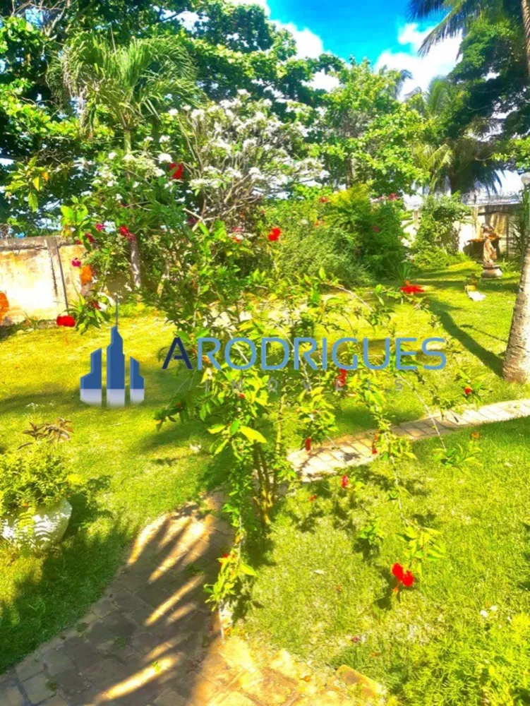 Casa, 4 quartos, 3000 m² - Foto 3