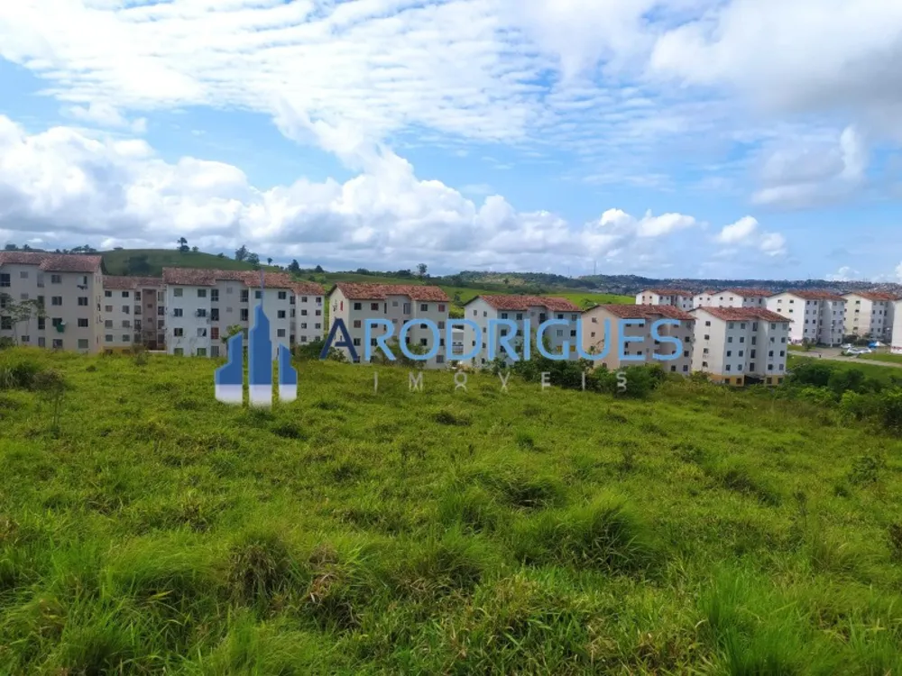 Terreno, 14 hectares - Foto 12