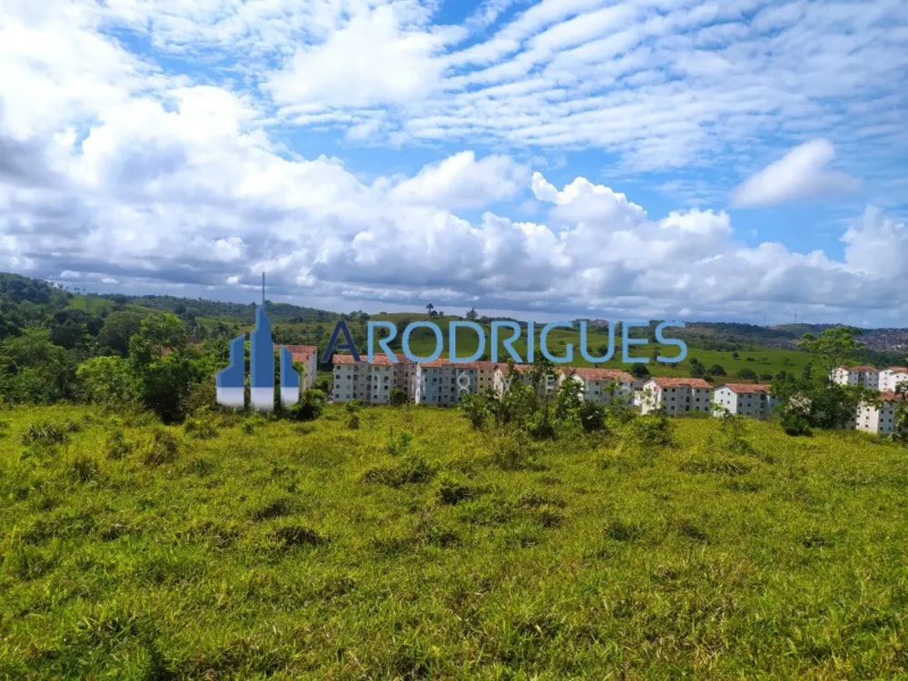 Terreno, 14 hectares - Foto 8