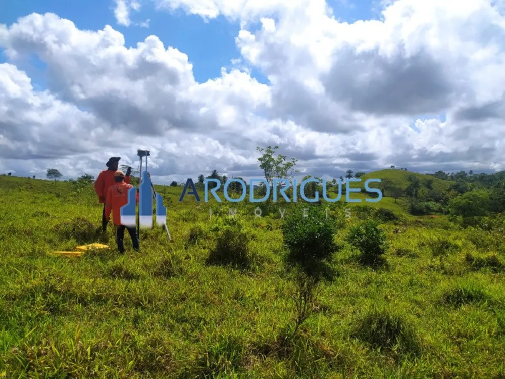 Terreno, 14 hectares - Foto 11