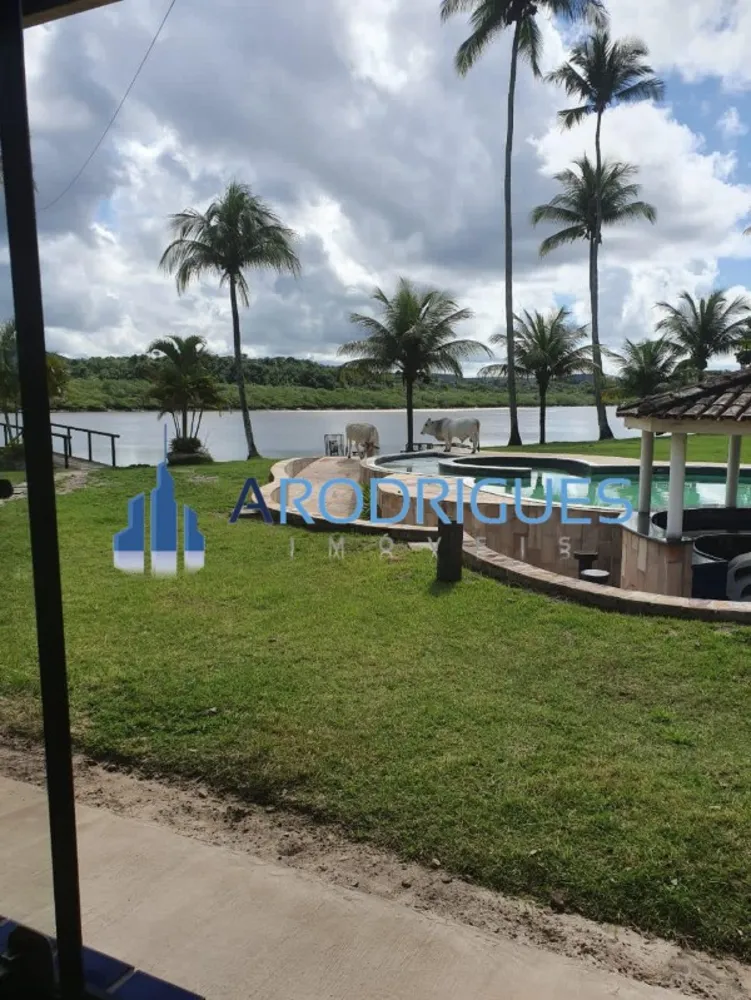 Fazenda, 8 quartos - Foto 6