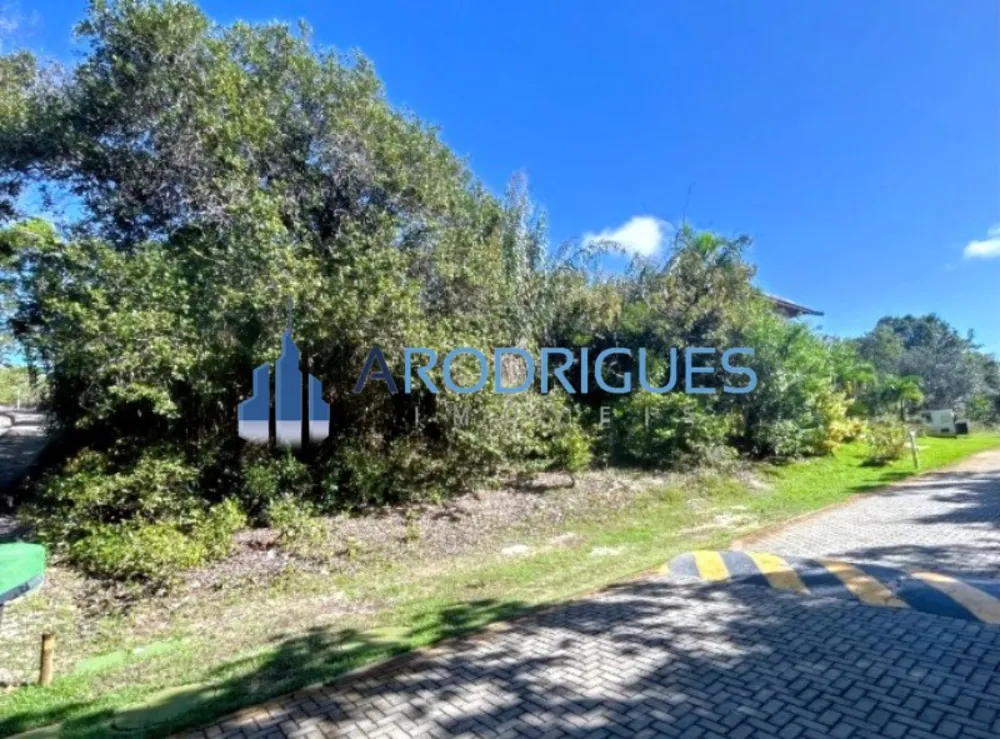 Terreno, 800 m² - Foto 7