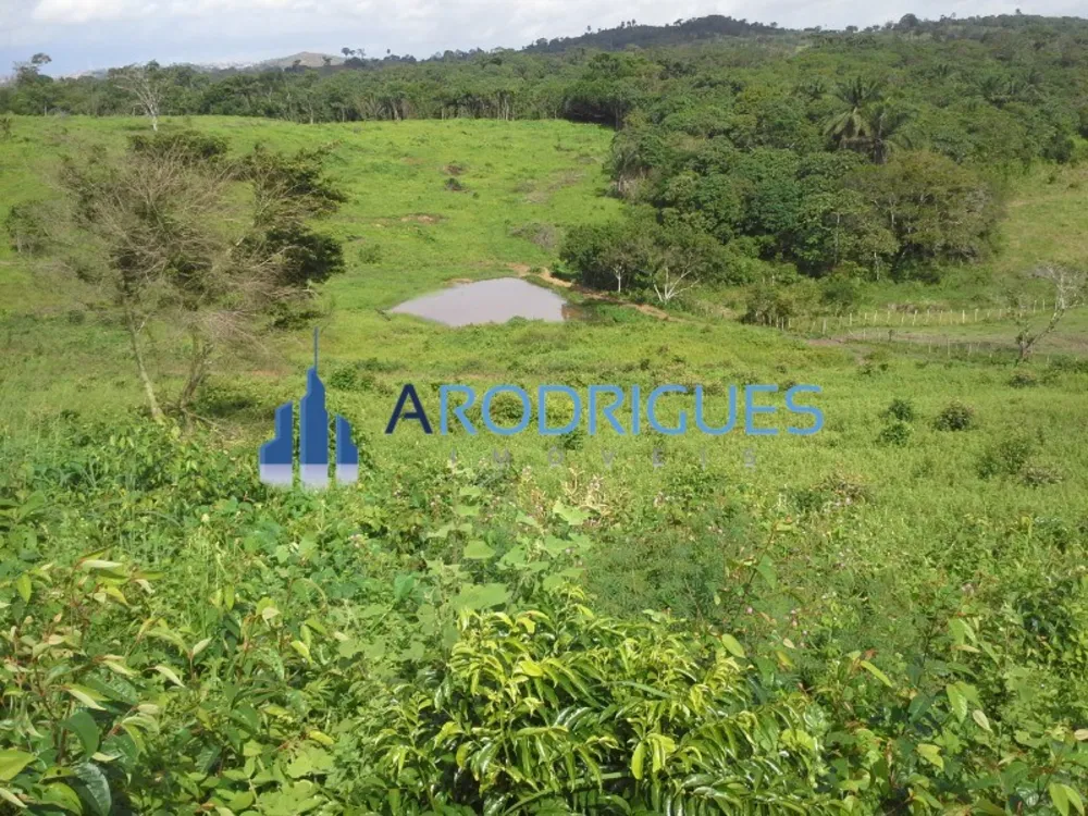 Fazenda - Foto 5