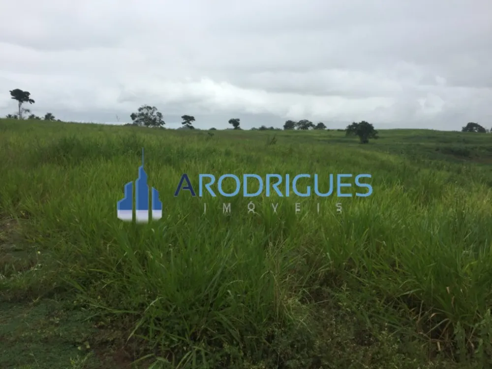 Fazenda - Foto 4