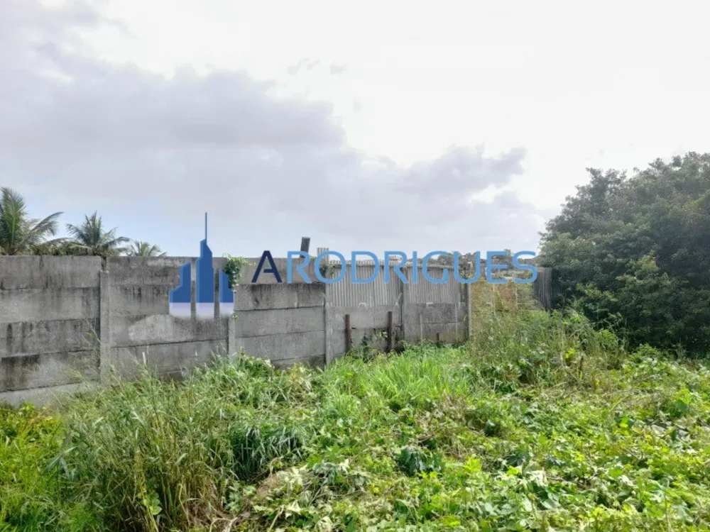 Terreno, 2637 m² - Foto 9
