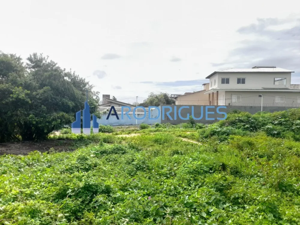 Terreno, 2637 m² - Foto 5