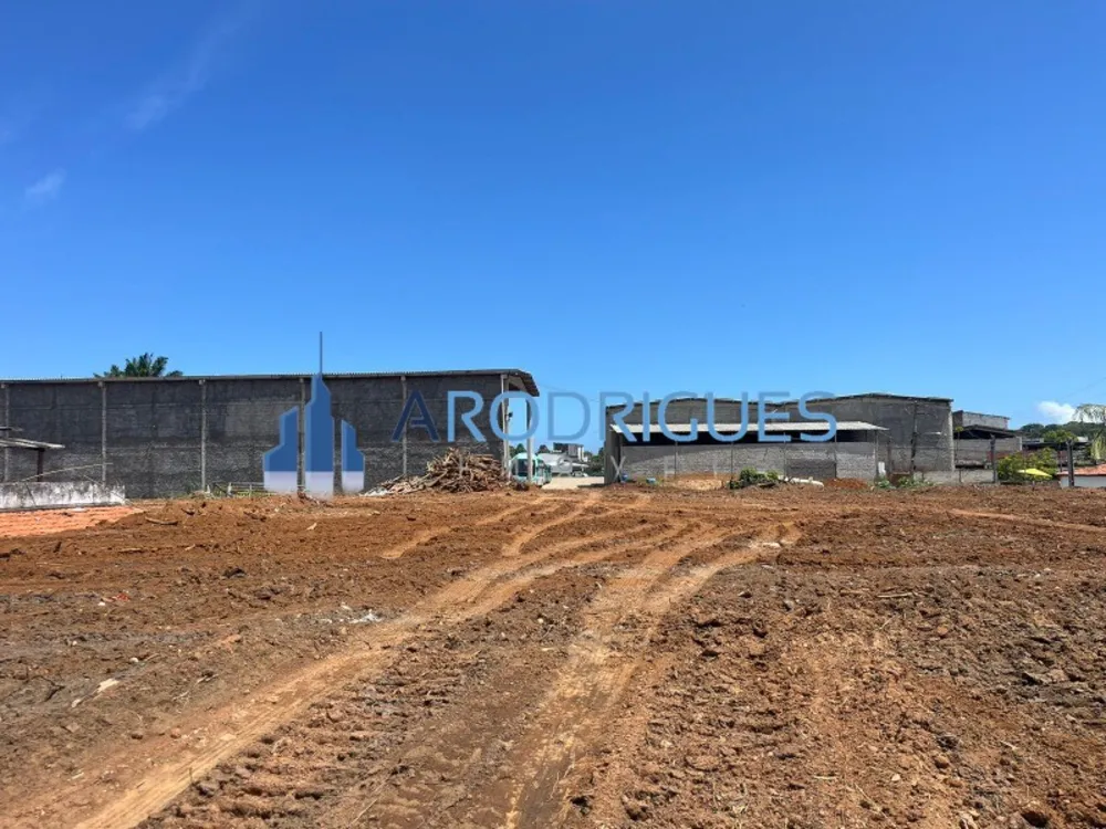 Depósito-Galpão, 2500 m² - Foto 4
