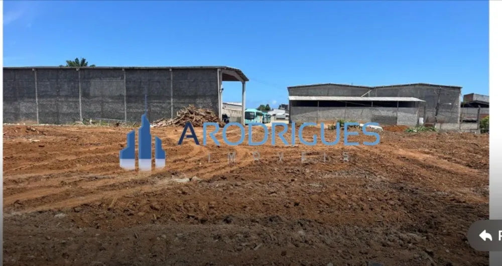 Depósito-Galpão, 2500 m² - Foto 3