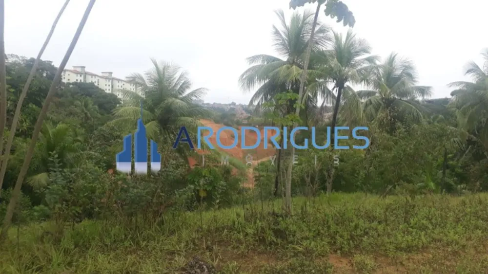 Loteamento e Condomínio, 1 hectares - Foto 6
