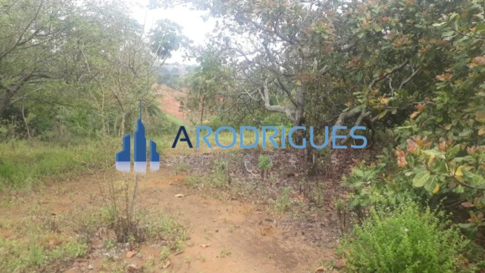 Loteamento e Condomínio, 1 hectares - Foto 8