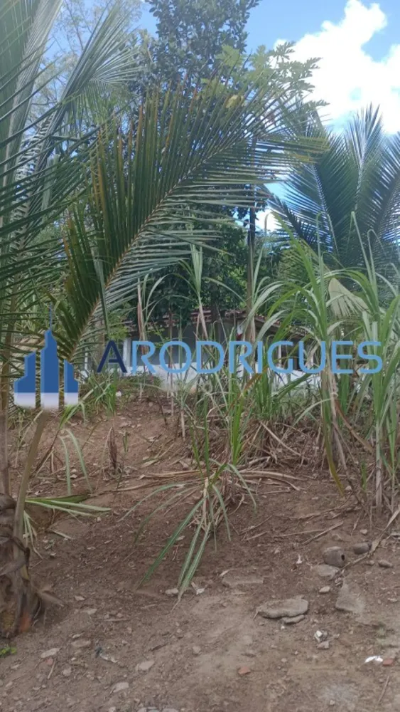 Chácara, 2 quartos, 2 hectares - Foto 1