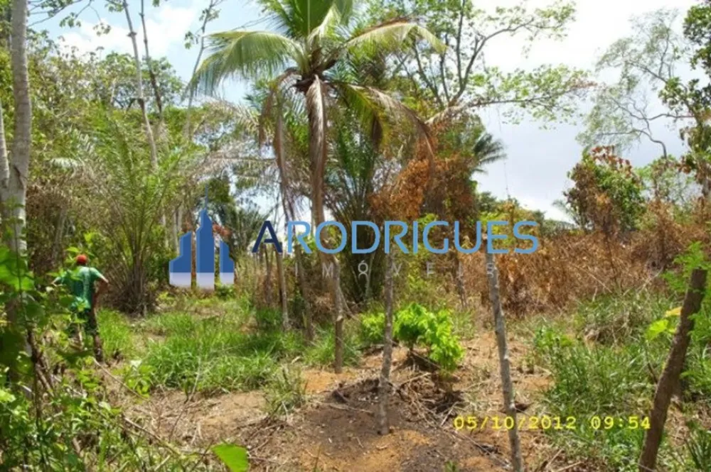 Terreno, 33271 hectares - Foto 10