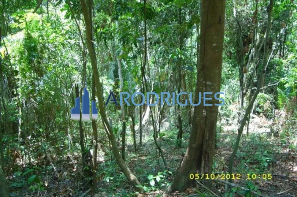 Terreno, 33271 hectares - Foto 3