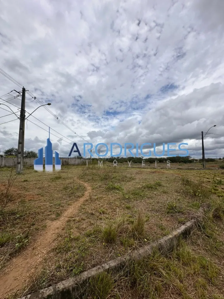 Terreno, 39 hectares - Foto 8