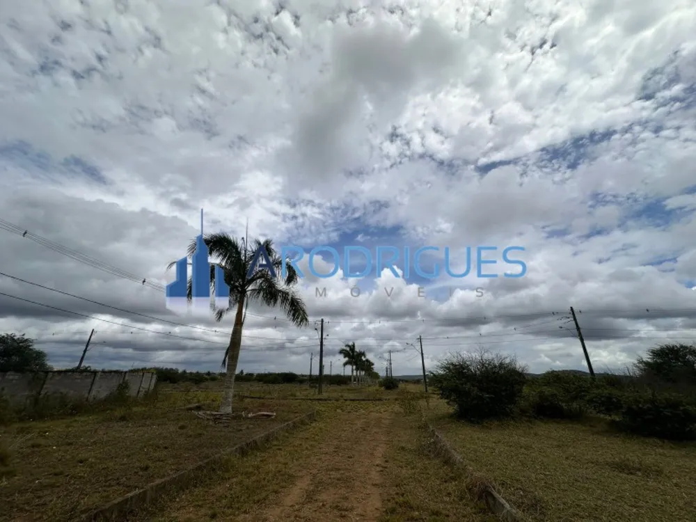 Terreno, 39 hectares - Foto 3