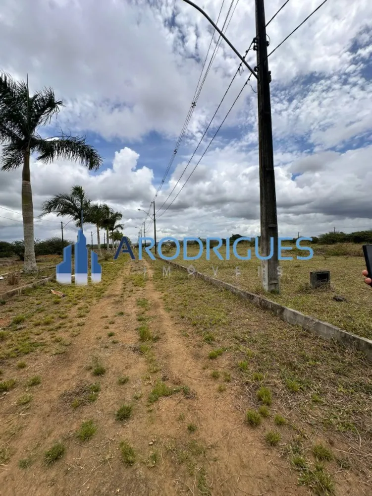 Terreno, 39 hectares - Foto 6