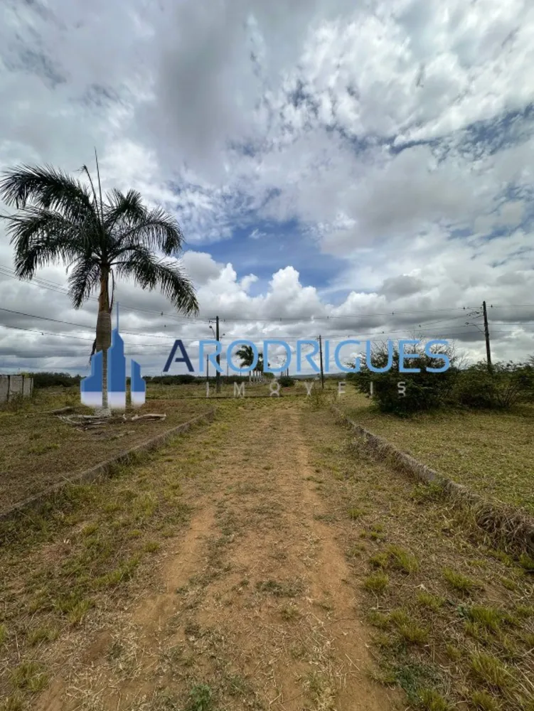 Terreno, 39 hectares - Foto 4
