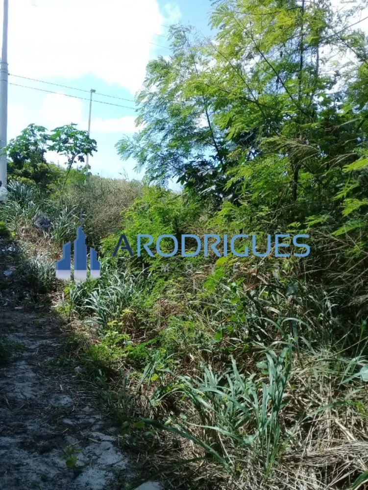 Terreno, 560 m² - Foto 11