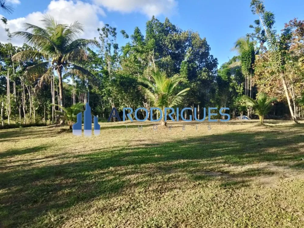 Sítio, 3 quartos, 3 hectares - Foto 8