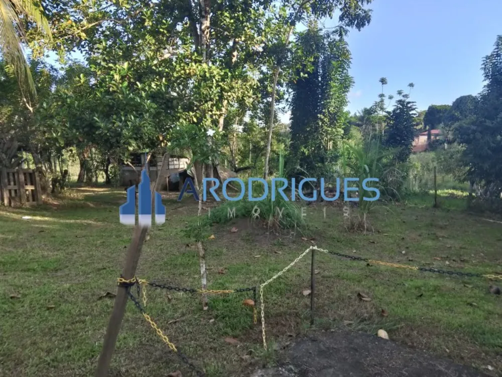 Sítio, 3 quartos, 3 hectares - Foto 2