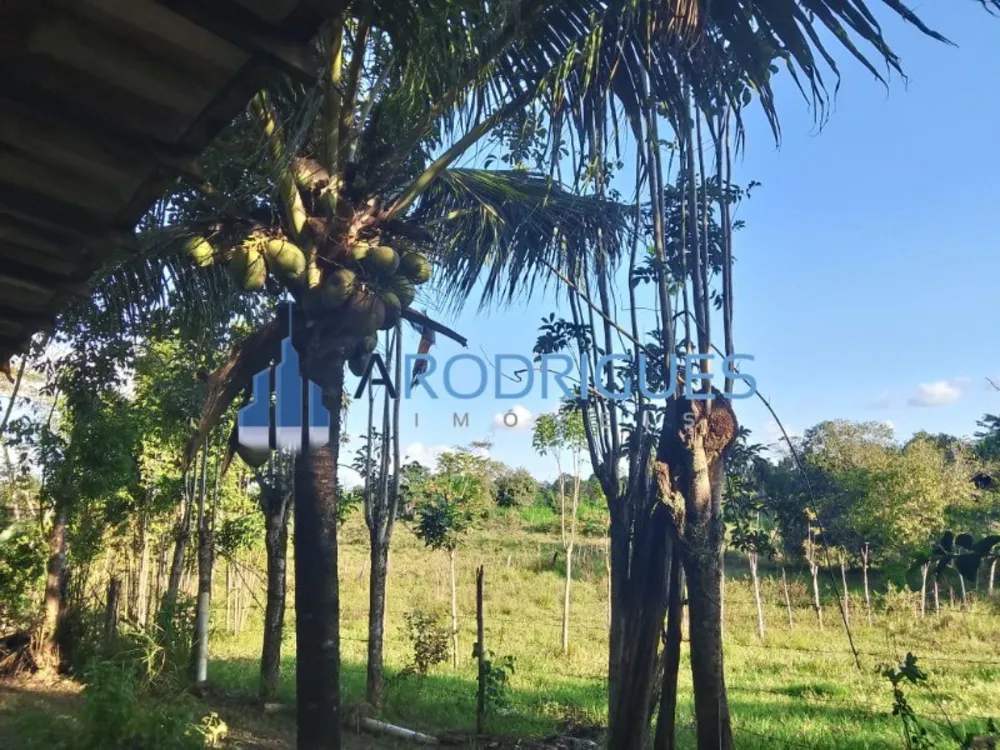 Sítio, 3 quartos, 3 hectares - Foto 7