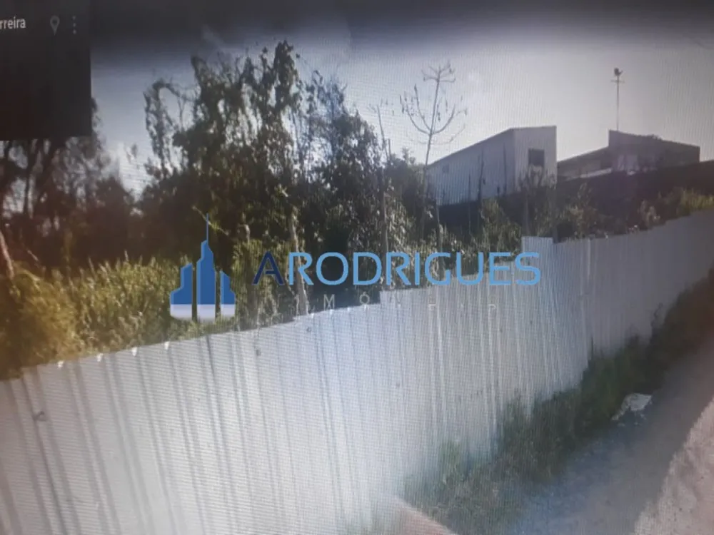 Terreno, 3 hectares - Foto 8