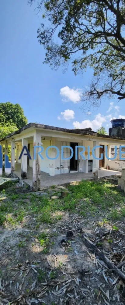Sítio, 2 quartos, 250 m² - Foto 5