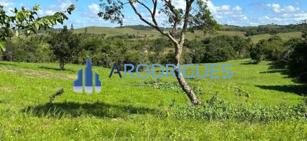 Fazenda, 5 quartos - Foto 7
