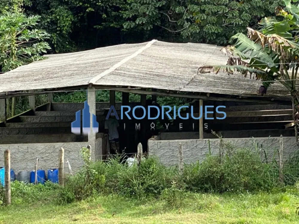Fazenda, 5 quartos - Foto 4