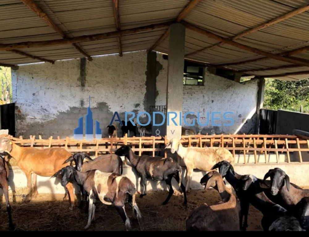 Fazenda, 5 quartos - Foto 2