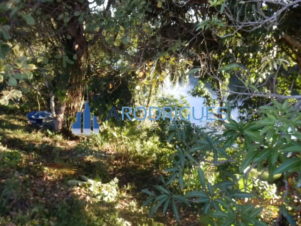 Casa, 4 quartos, 1500 m² - Foto 3