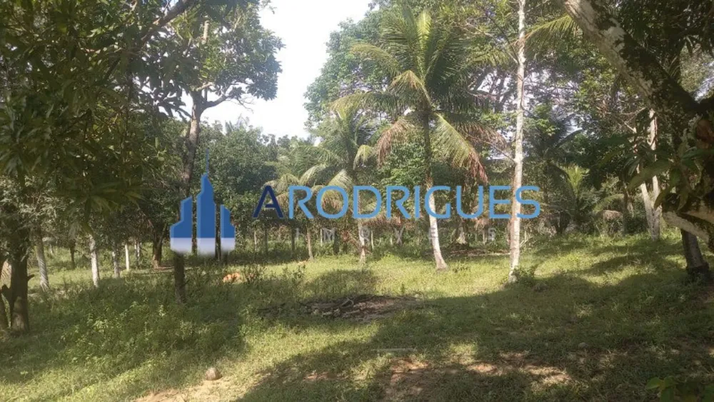 Fazenda, 3 quartos - Foto 6