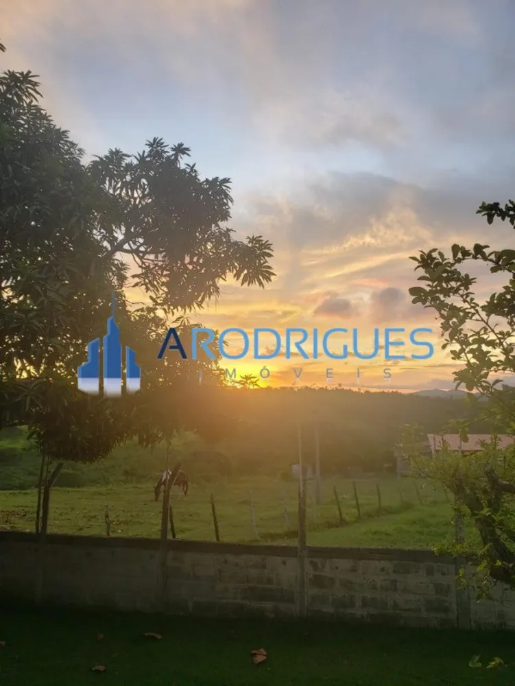 Sítio, 4 quartos, 60200 m² - Foto 3
